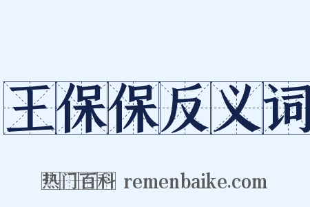 王保保反义词是什么意思的图片